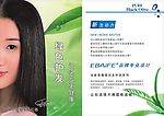 黑橄榄产品手册2页