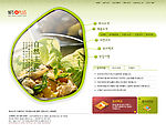 自然主义 5PSD 文件