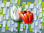 春花