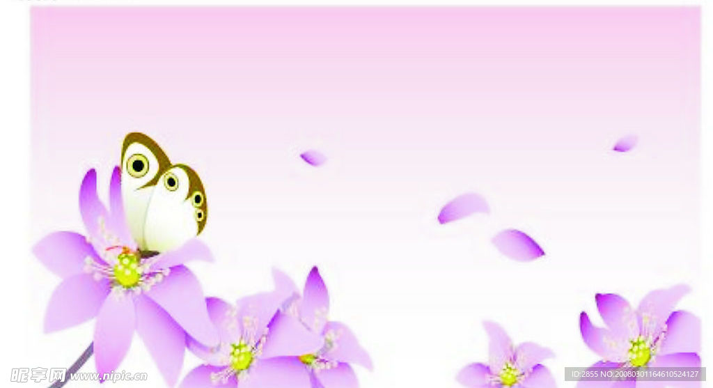 美丽的鲜花矢量图
