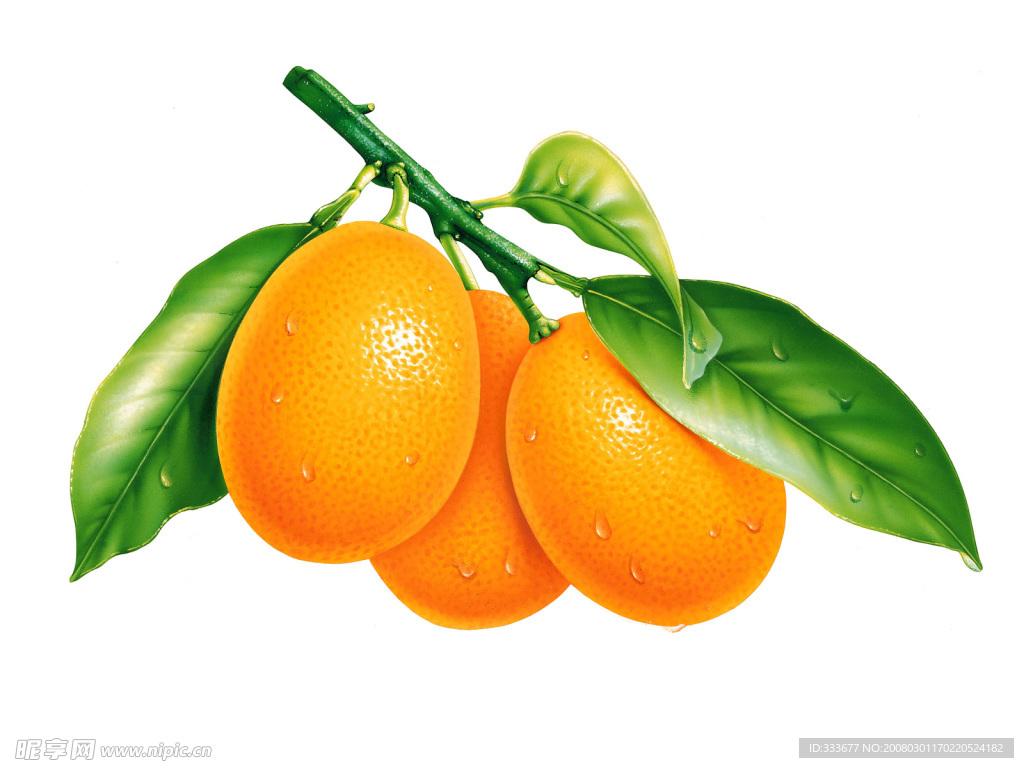 逼真水果之金橘