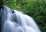 自然风景
