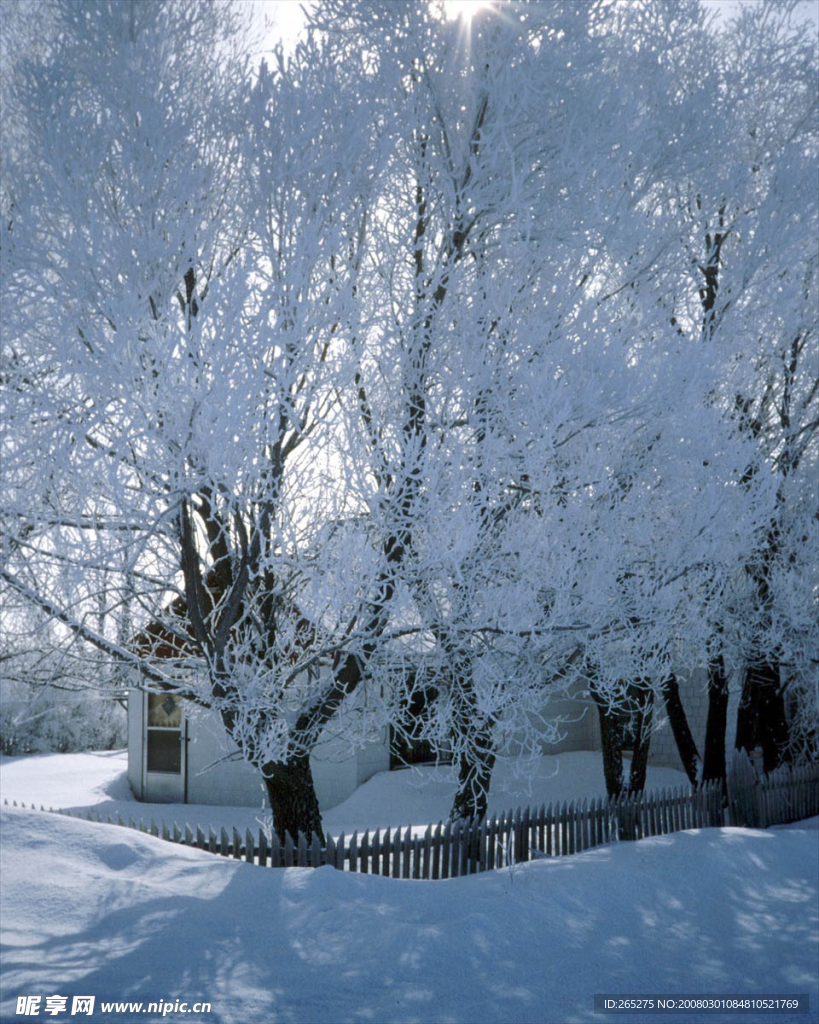 雪景