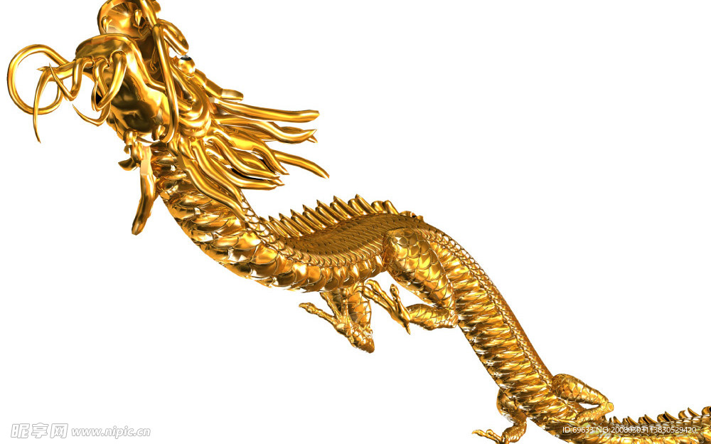 金龙