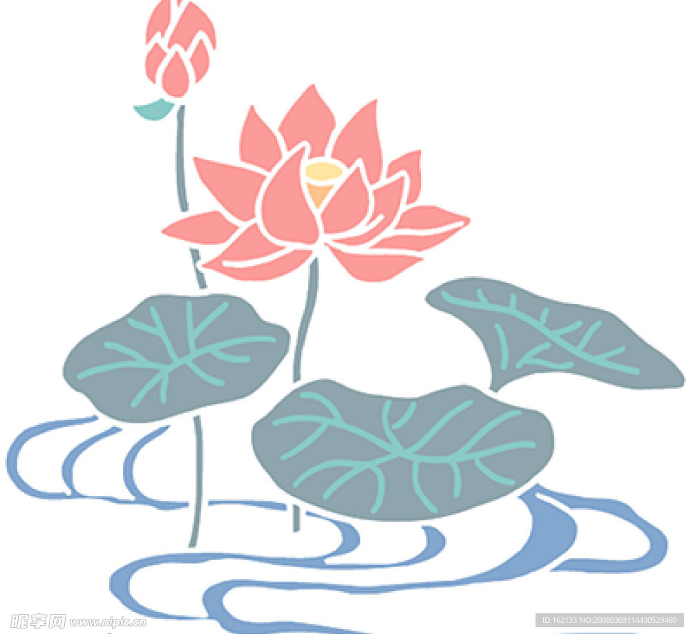 荷花