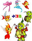 小鲤鱼