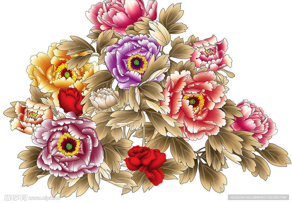 牡丹花开