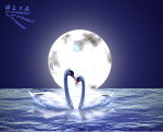 海上月夜
