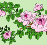 花鸟