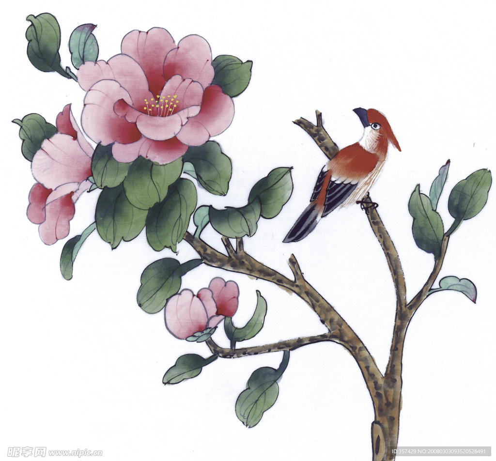 花鸟牡丹工笔画