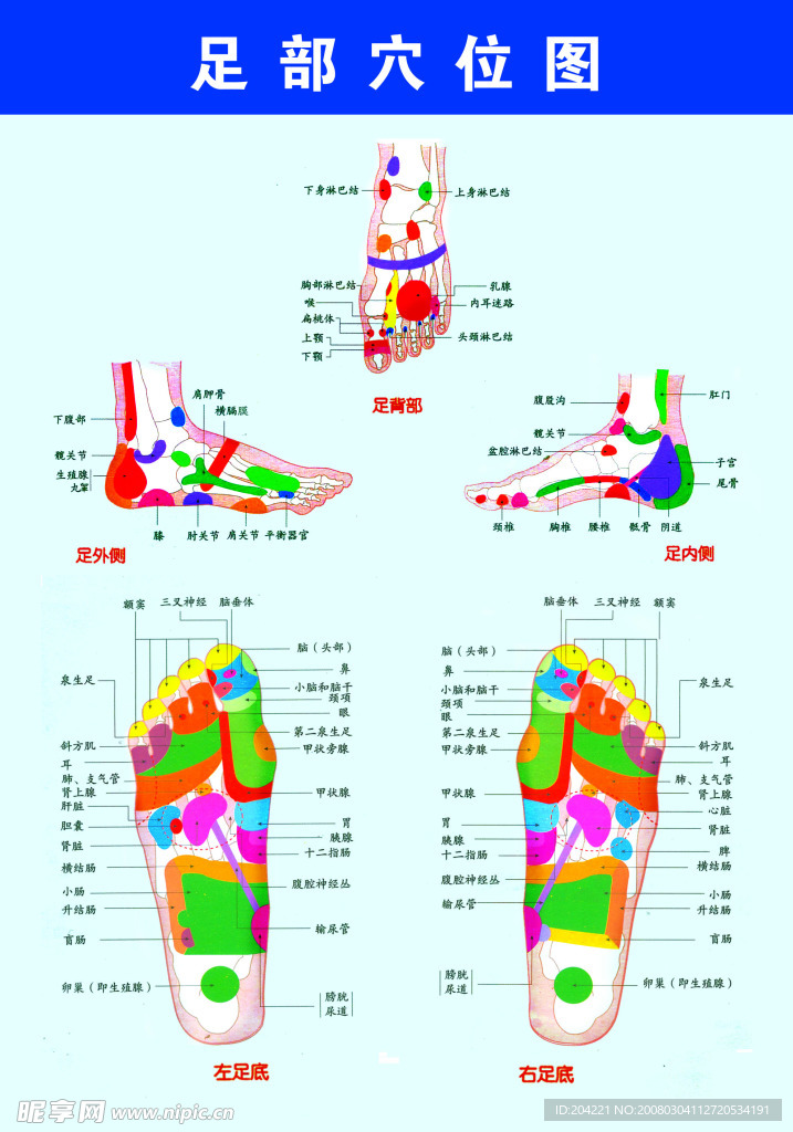 足部穴位