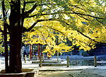北京名胜