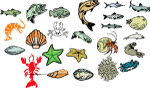 海洋生物468