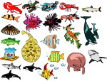 海洋生物636