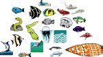 海洋生物664