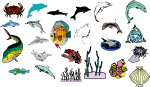 海洋生物516