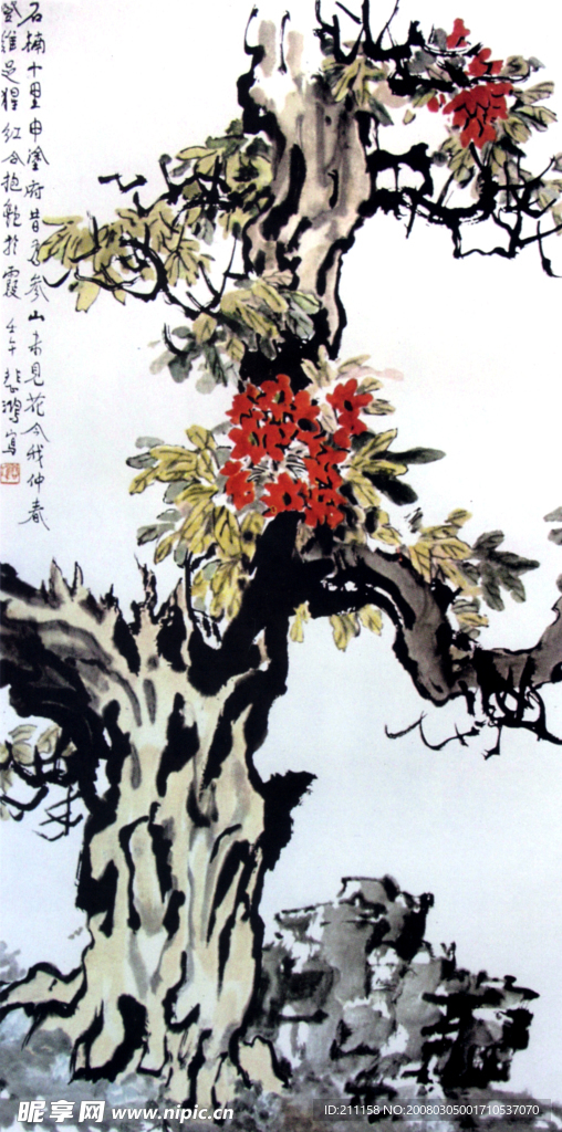 石楠花