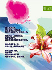吉檀迦利插画6