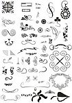 矢量花纹13