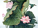中国国画-荷花