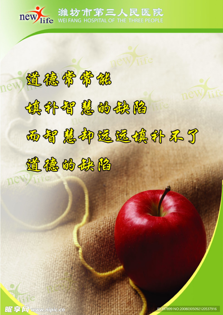 设计版面