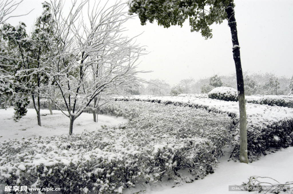 雪景