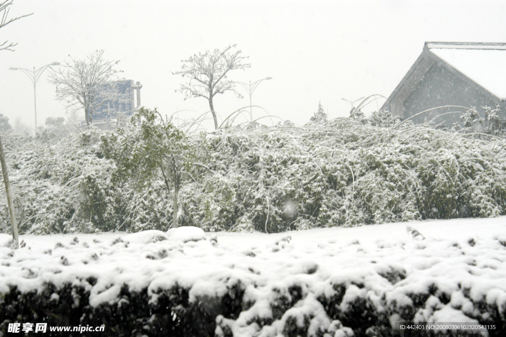 雪景