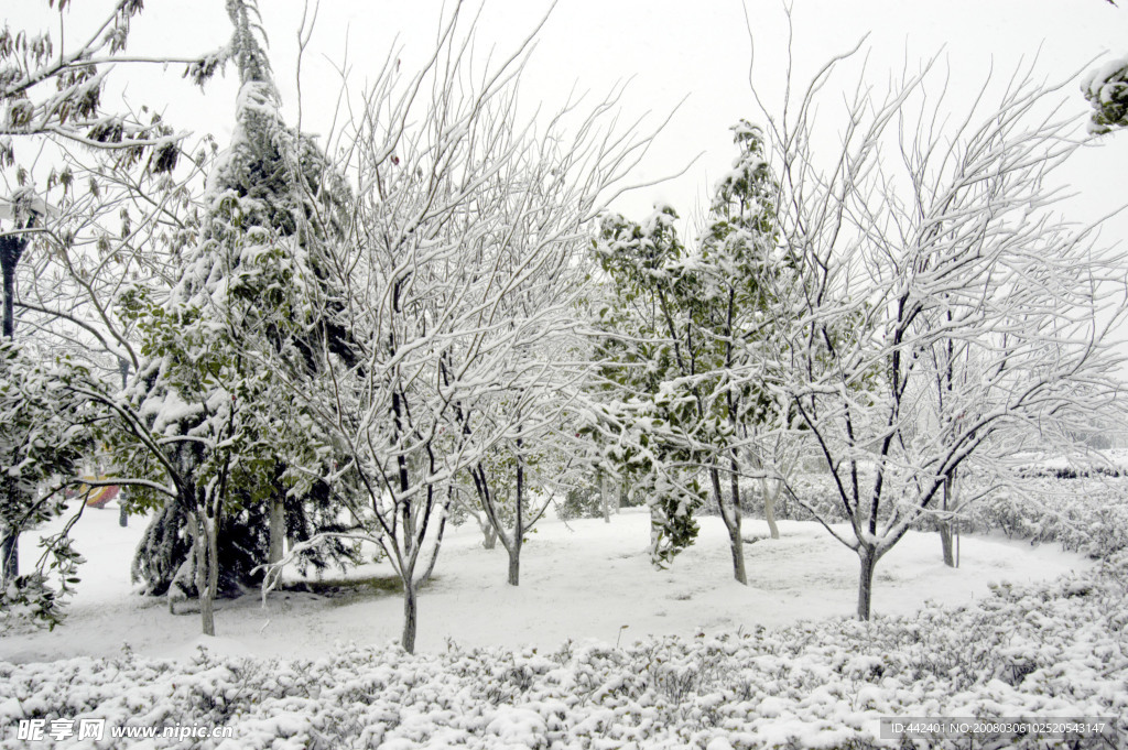 雪景