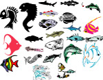 海洋生物558