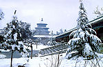 天坛雪景