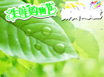 生鲜购物节