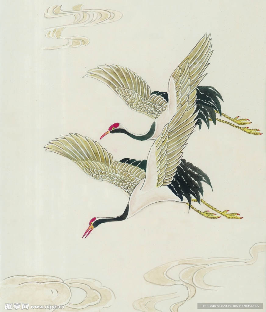鸟类画展