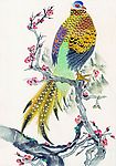 鸟类画展