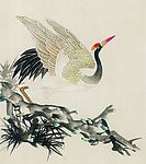 鸟类画展