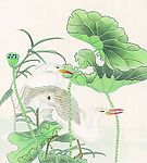 鸟类画展
