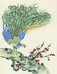 鸟类画展