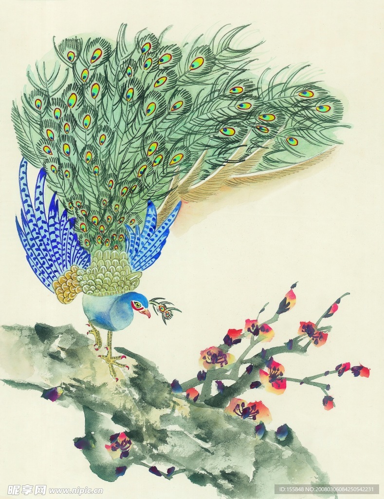 鸟类画展