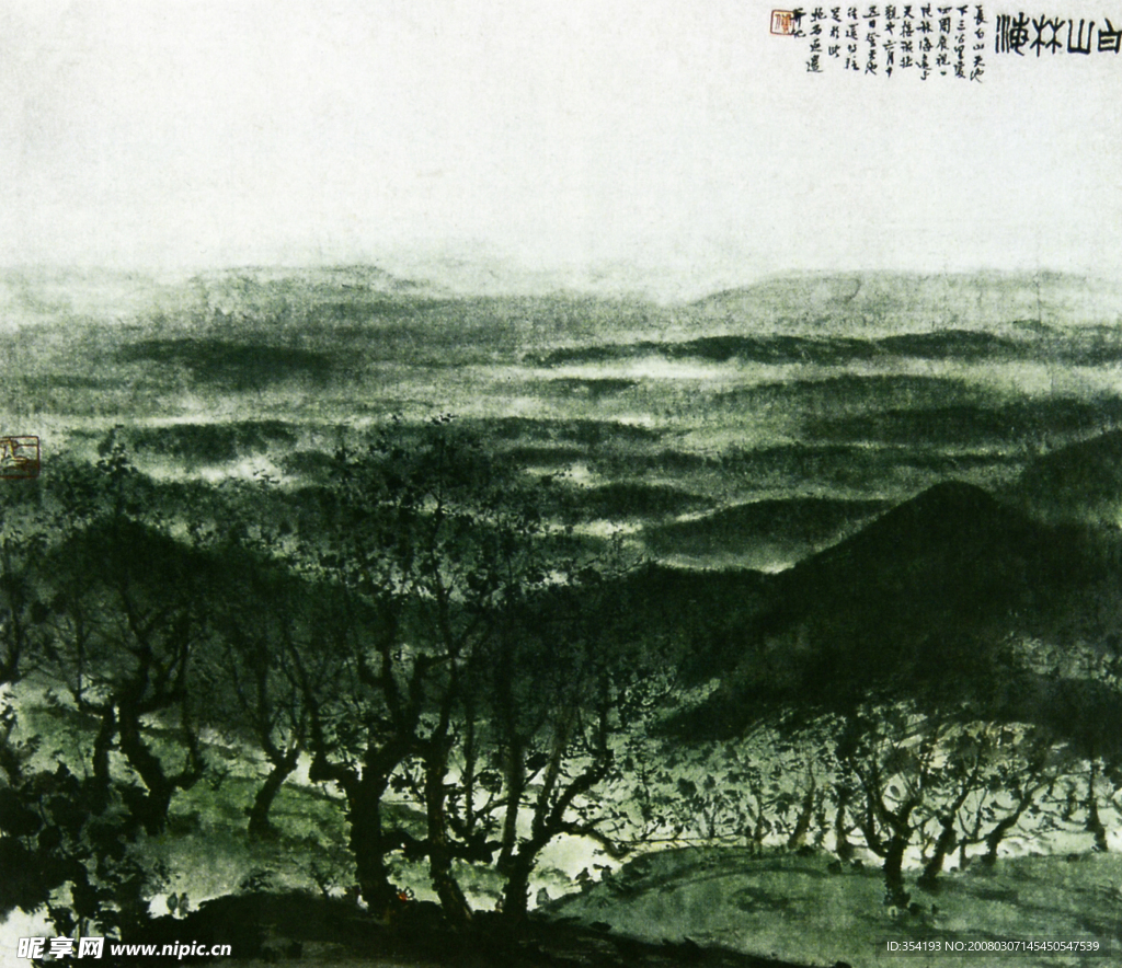 白山林海