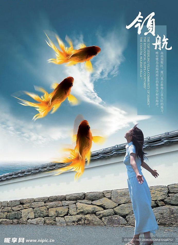 领航