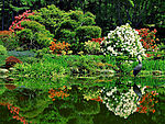 田园风光