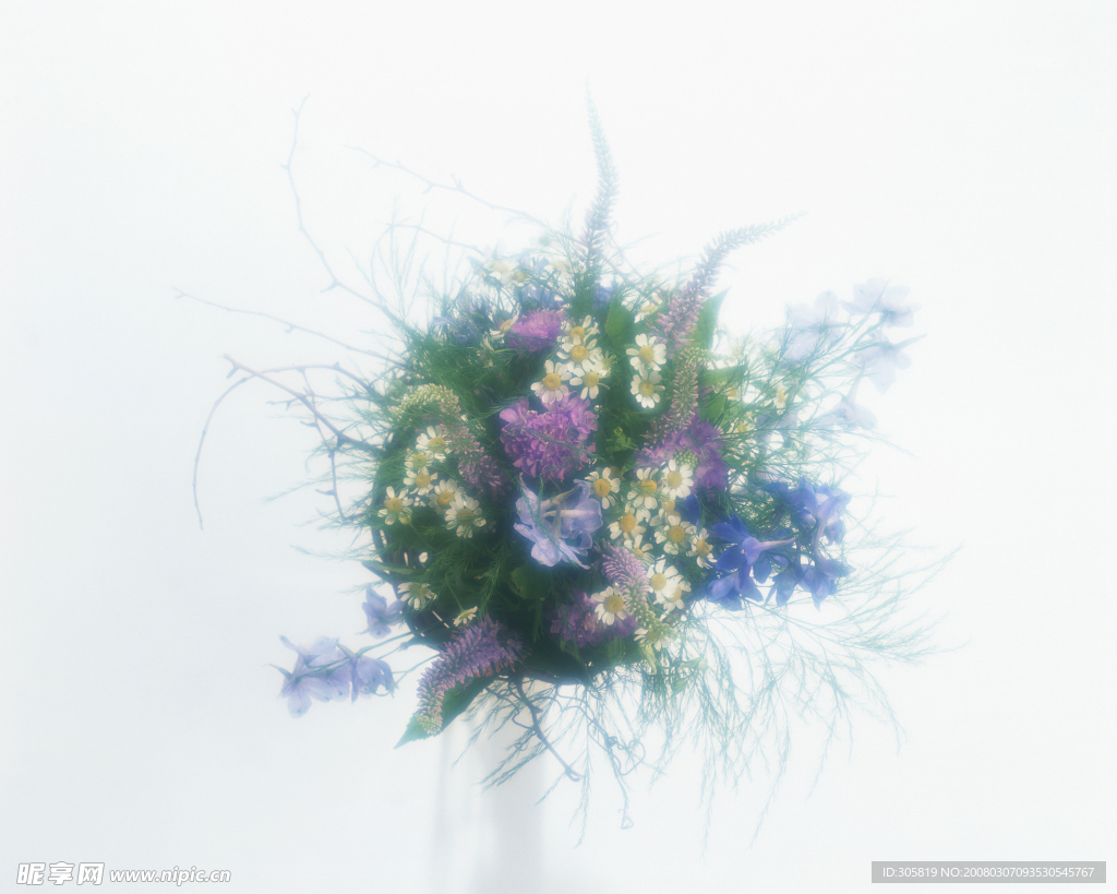 花素材