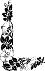 花纹 边框