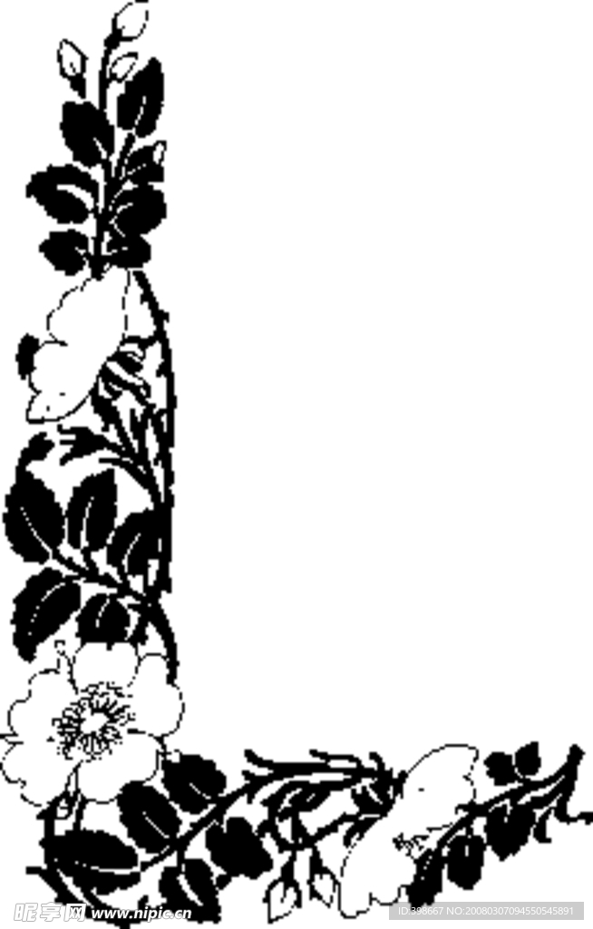 花纹 边框
