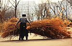 拾草人背影