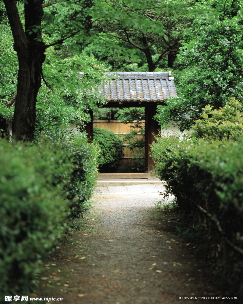 城市风光