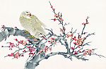 鸟类画展