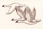 国画