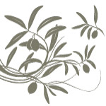 植物叶子