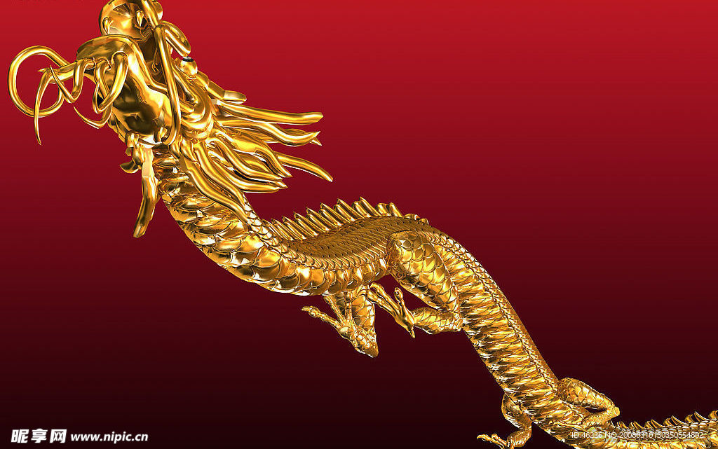 金龙