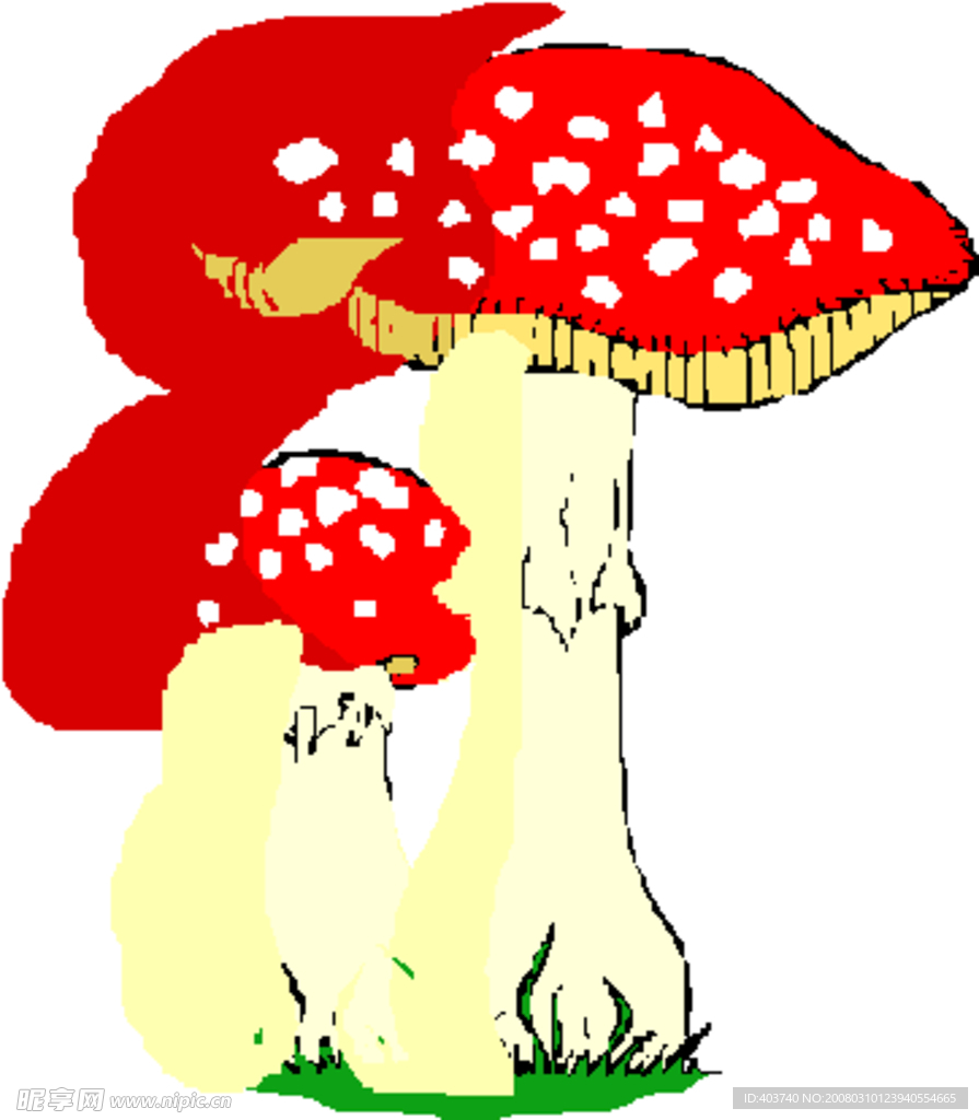 磨菇